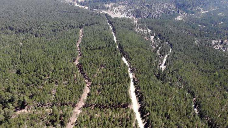 ‘ORMAN YANGINLARININ YÜZDE 95İ İNSAN KAYNAKLI’