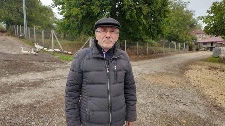 BOLU FINDIĞI SADECE BU HAVZADA