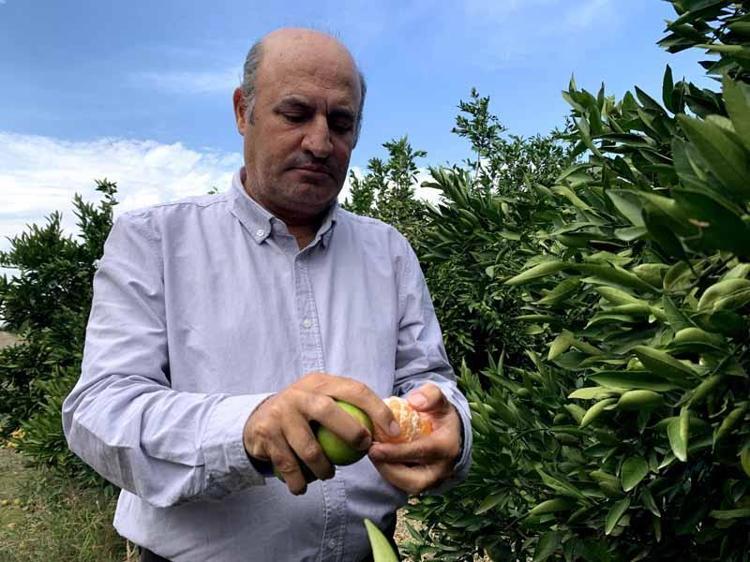 ‘TALEP ARTACAK, İHRACATA OLUMLU YANSIYACAK, ÇİFTÇİ MUTLU’