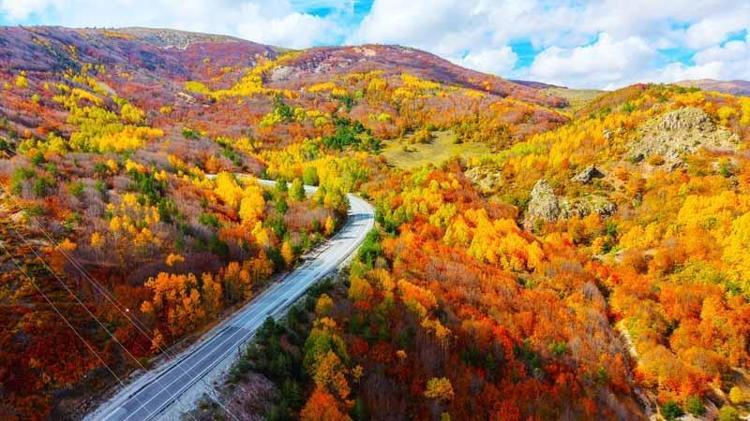 FOTOĞRAF TUTKUNLARI İÇİN GÖRSEL ŞÖLEN