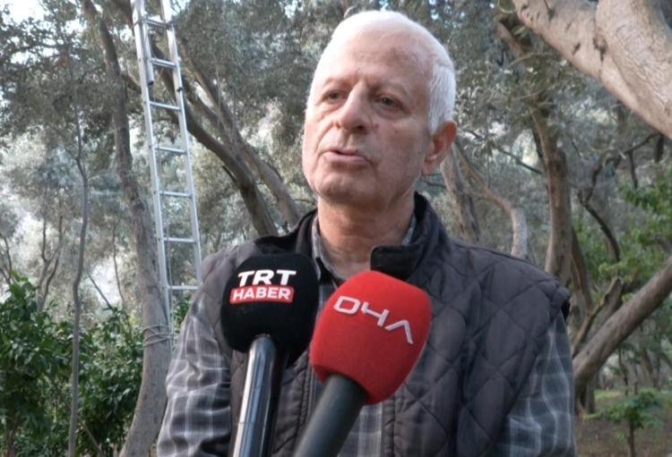 ‘ZEYTİNLERİ TEK TEK TOPLUYORUZ’