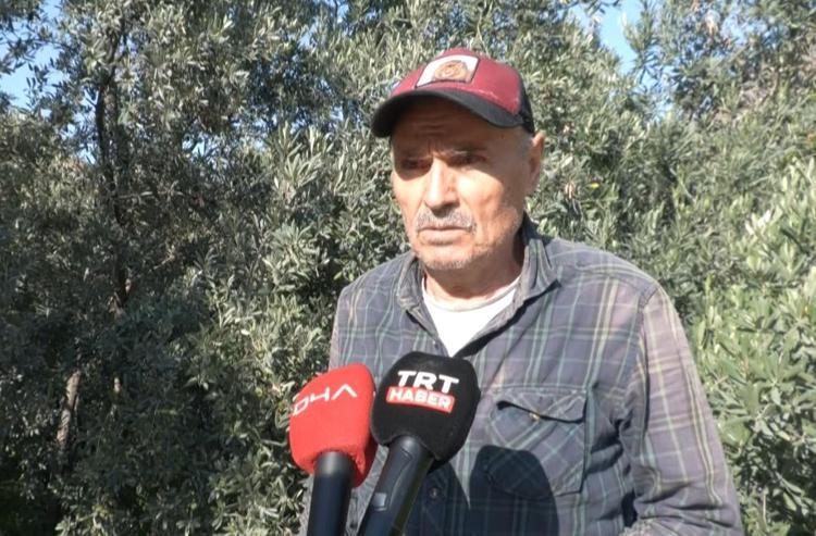 ‘3 KİLO ZEYTİNDEN 1 KİLO YAĞ ELDE EDİYORUZ’