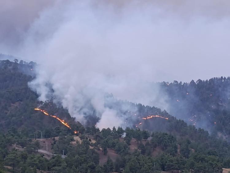 ZARAR, 600 MİLYON LİRA