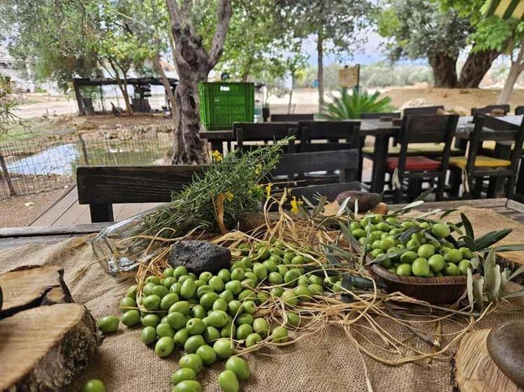 ANTALYADA YÜZDE 40 ARTIŞ BEKLENTİSİ