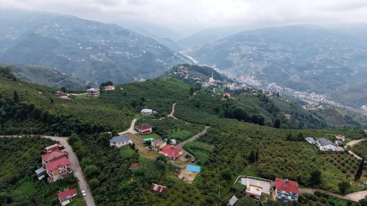 BÖLGEMİZE YAKLAŞAN DİĞER ZARARLILARI DA TESPİT EDECEĞİZ