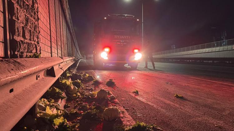 SÜRÜCÜ: KEDİYE ÇARPMAMAK İÇİN MANEVRA YAPINCA KAMYON KONTROLDEN ÇIKTI