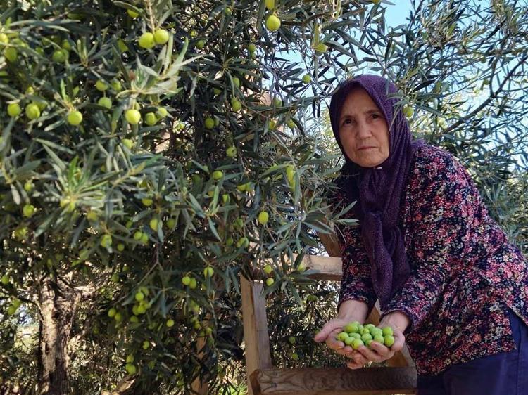 BU SENENİN MALİYETİNİ HENÜZ ÇIKARTMADIK