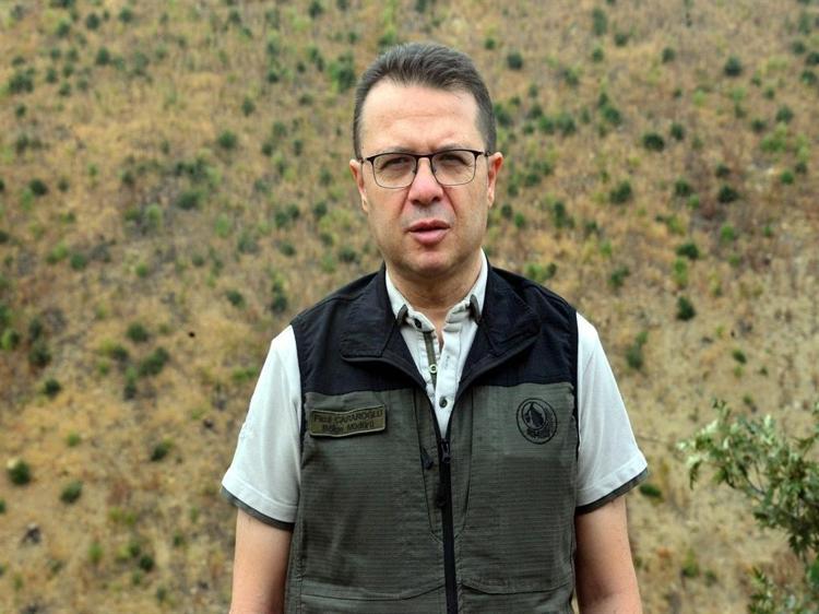 ‘10 YIL SONRA ORMAN OLACAK’