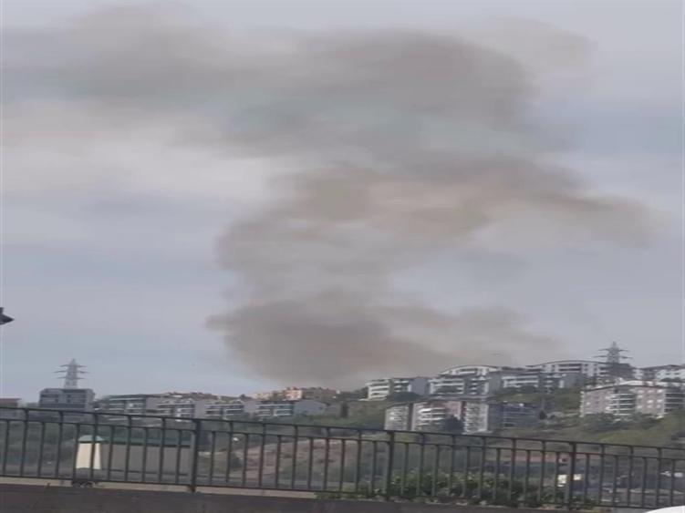 Kocaelideki orman yangını kontrol altında