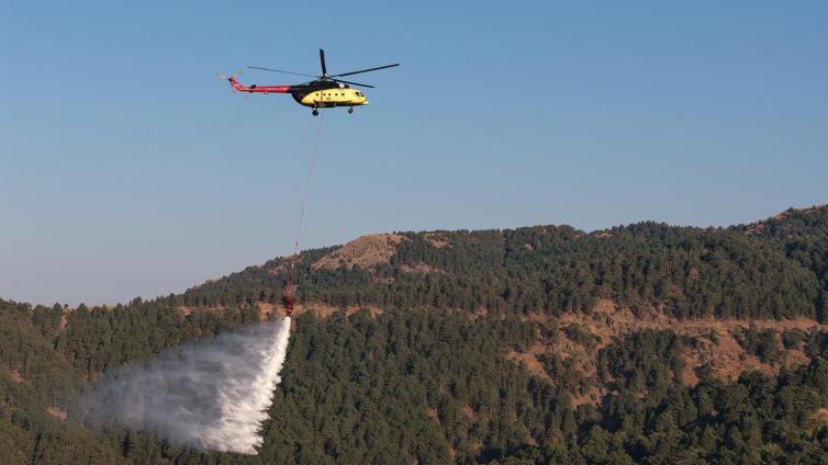 Aydındaki orman yangını 2nci gününde kontrol altına alındı