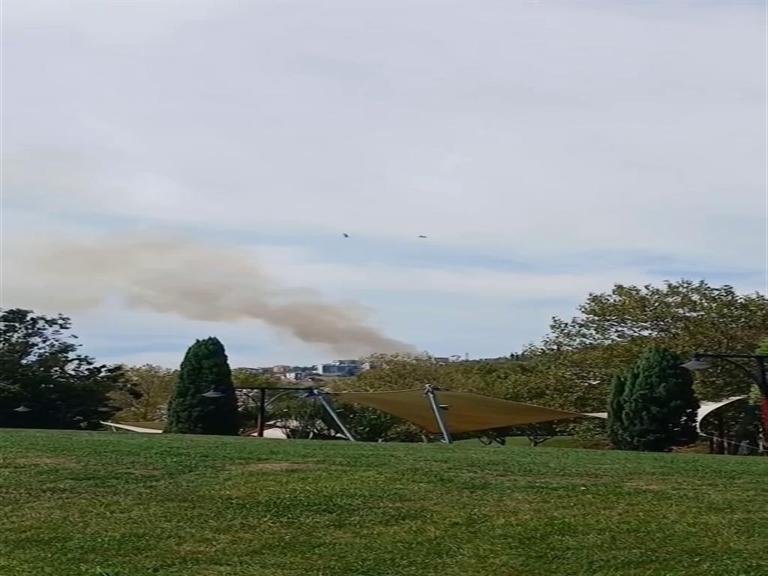 Kocaelideki orman yangını kontrol altında