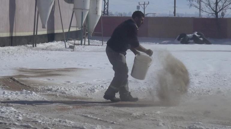 Muşta aç kalan kuşlar, yem fabrikasının çevresini sardı