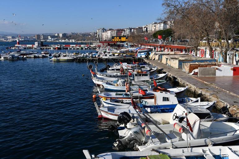 Tekirdağlı balıkçıların umudu karides