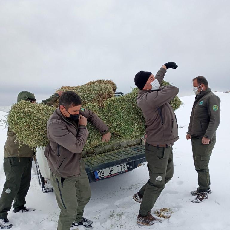 Aladağlarda yaban keçisi sayısı 2 bin 362ye yükseldi