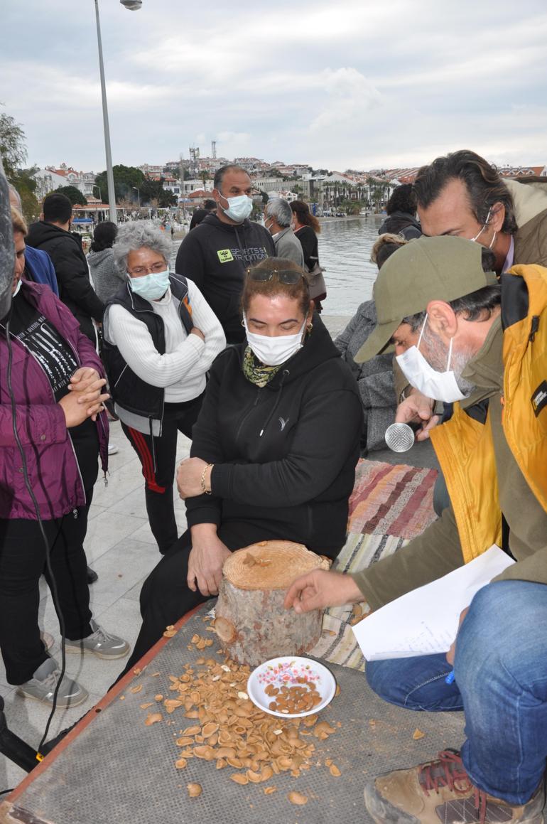 Datçada en fazla bademi kırmak için yarıştılar