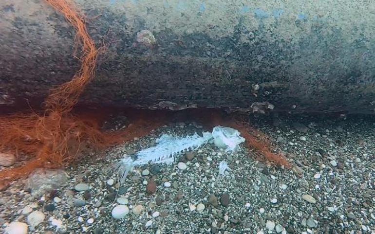 Hayalet ağlar deniz altında ölüm saçıyor