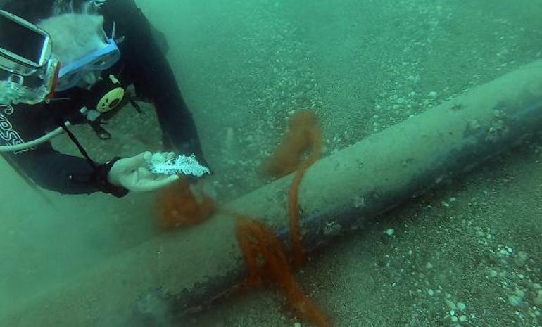 Hayalet ağlar deniz altında ölüm saçıyor