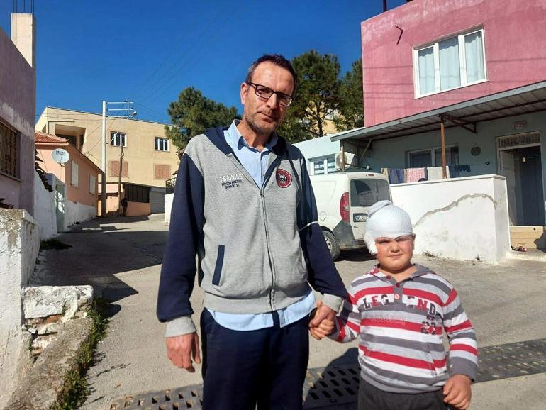 Sevmek istediği Pitbull melezi, hastanelik etti