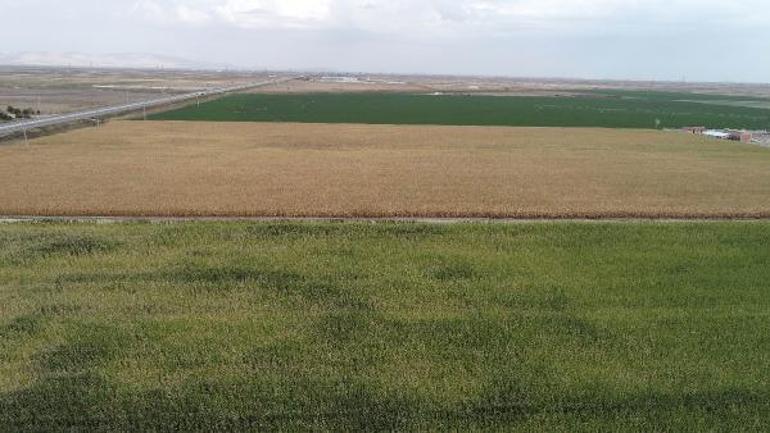 Tarlada sera gazını azalttıkça gıda güvenliğimiz artar