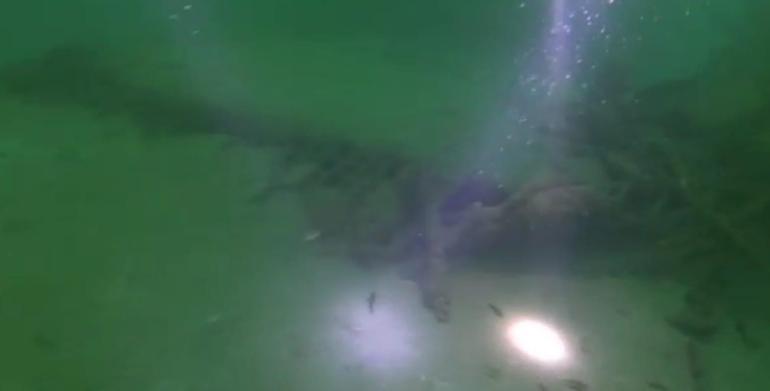 İzmit Körfezindeki çamur temizliği, canlılarının daha sağlıklı habitatlara kavuşmasını sağlayacak