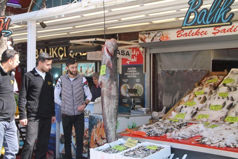 Balıkçının ağına, 40 kiloluk yayın balığı takıldı