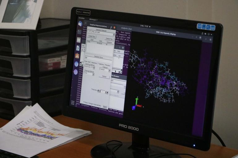 Covid-19a karşı zerdeçal türevleriyle ilaç yapılabilir