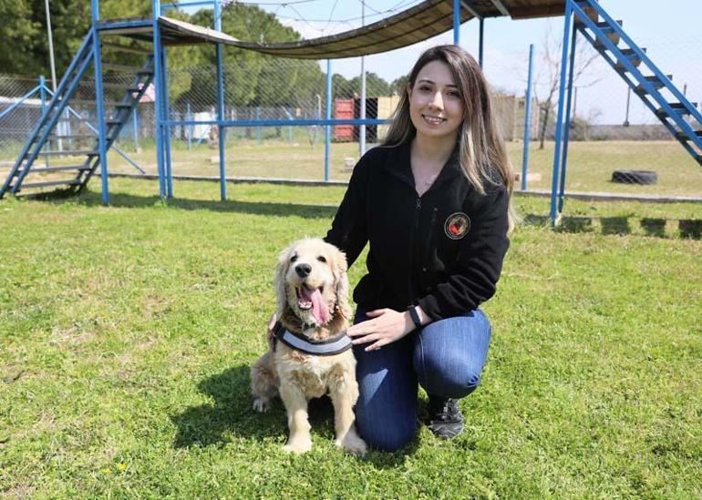 Evde süs köpeğiyken emniyette hassas burun oldu