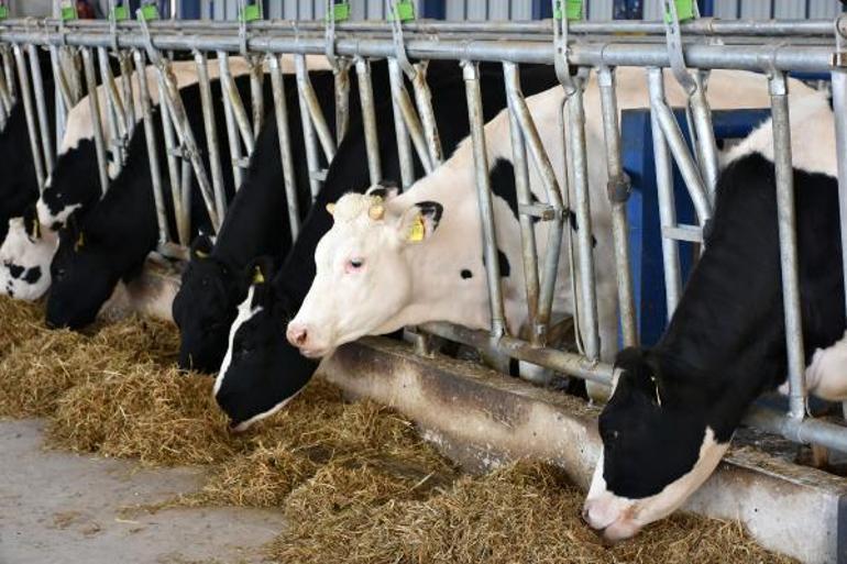 MAKÜ Türkiyenin embriyo üretim izni alan ilk üniversitesi oldu