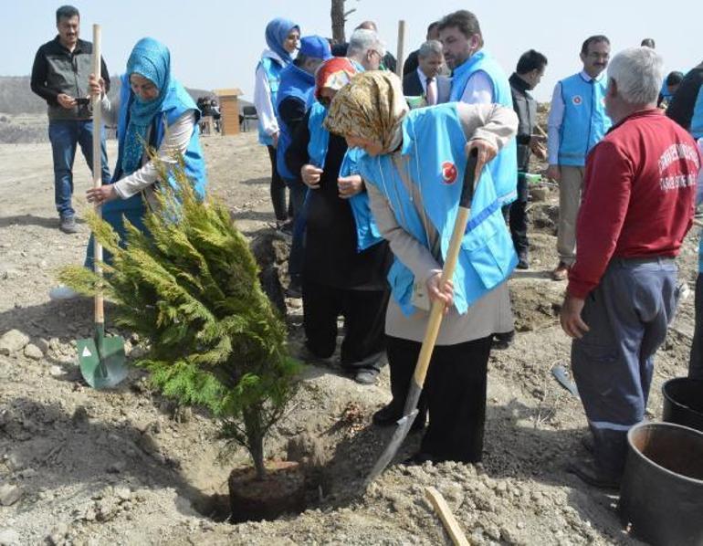 Gurbetçilerden Manavgata 250 bin fidan bağışı
