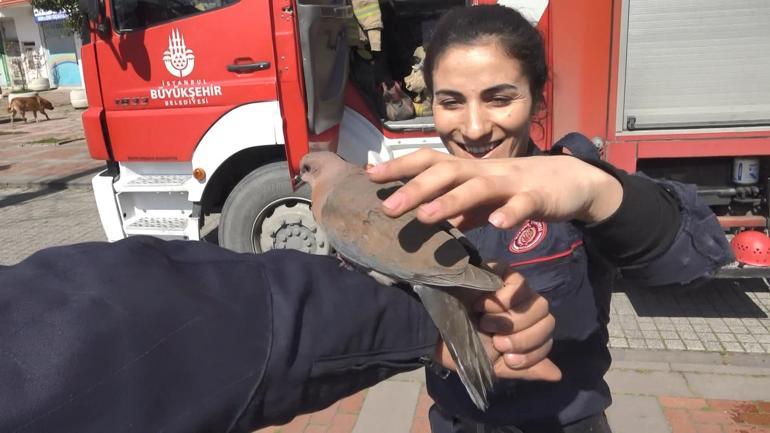 Avcılarda camide mahsur kalan kumruyu itfaiye kurtardı