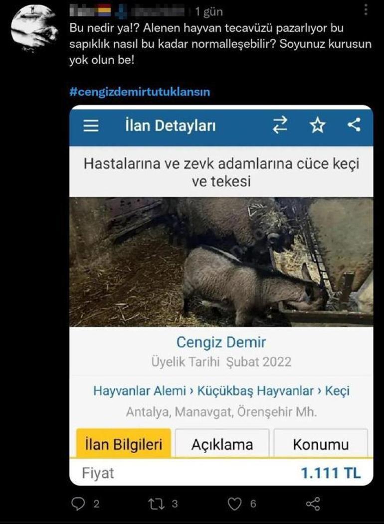 Cüce keçisini internetten satmak isterken hayvan tacizcisi oldu