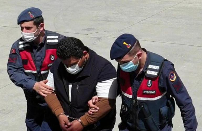 DHAnın gündeme getirdiği büyük orman vurgunuyla ilgili müfettiş görevlendirildi