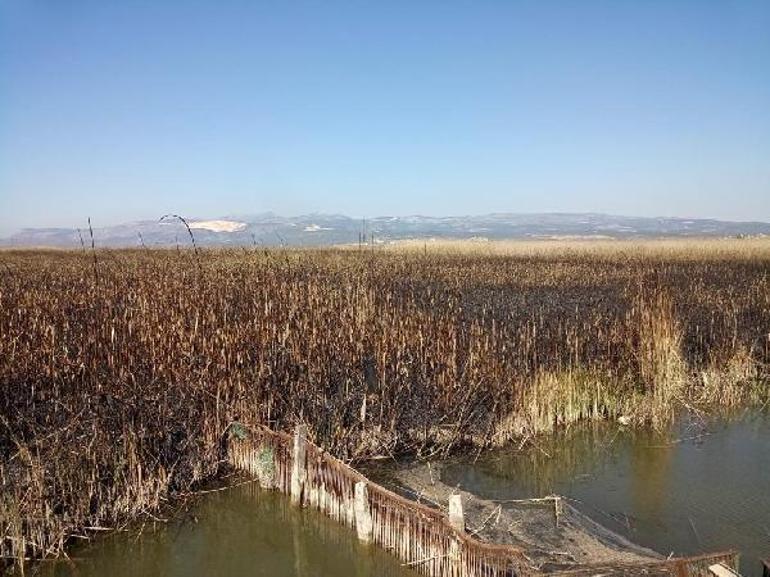 Göksu Deltasında çıkan yangın, kendiliğinden söndü