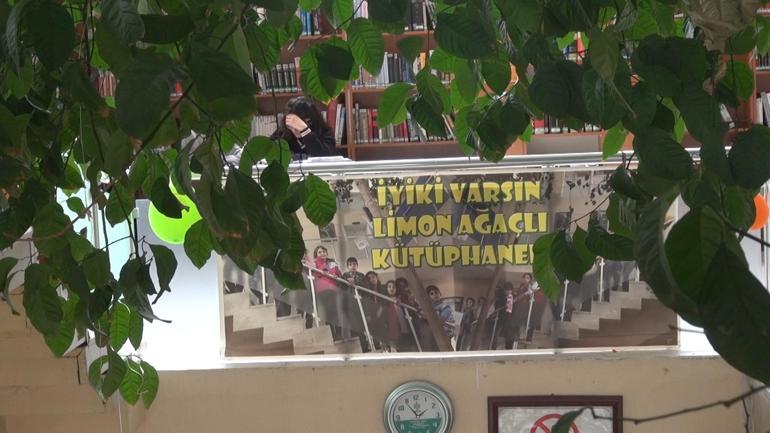 Yenilenecek kütüphanede limon ağacı korunacak