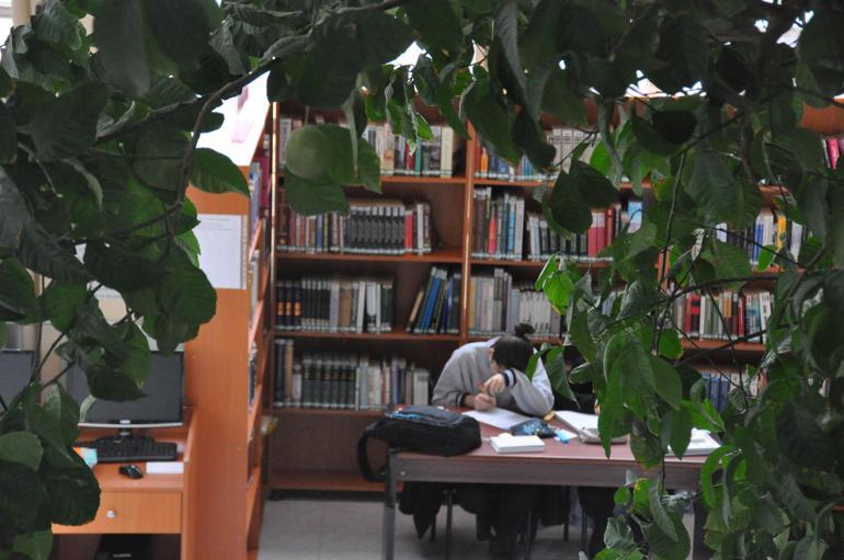 Yenilenecek kütüphanede limon ağacı korunacak