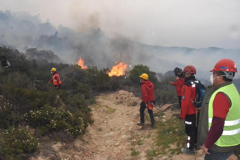 Bodrumda orman ve makilik yangını