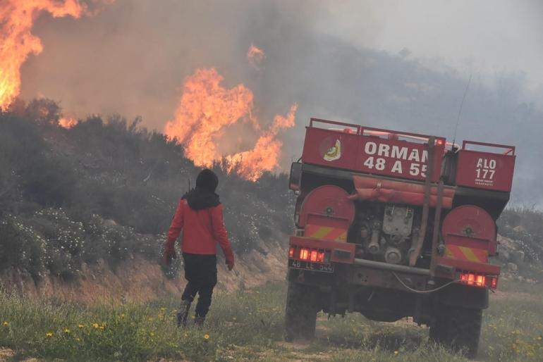 Bodrumda orman ve makilik yangını