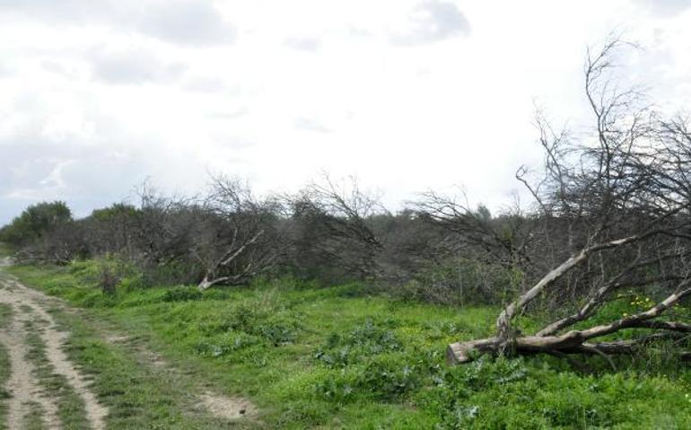 10 yıllık 25 milyon lira yazılı çek, varisleri şoke etti