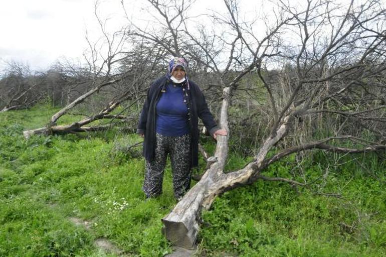 10 yıllık 25 milyon lira yazılı çek, varisleri şoke etti