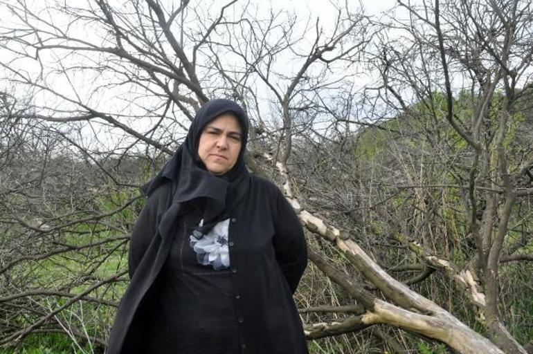 10 yıllık 25 milyon lira yazılı çek, varisleri şoke etti