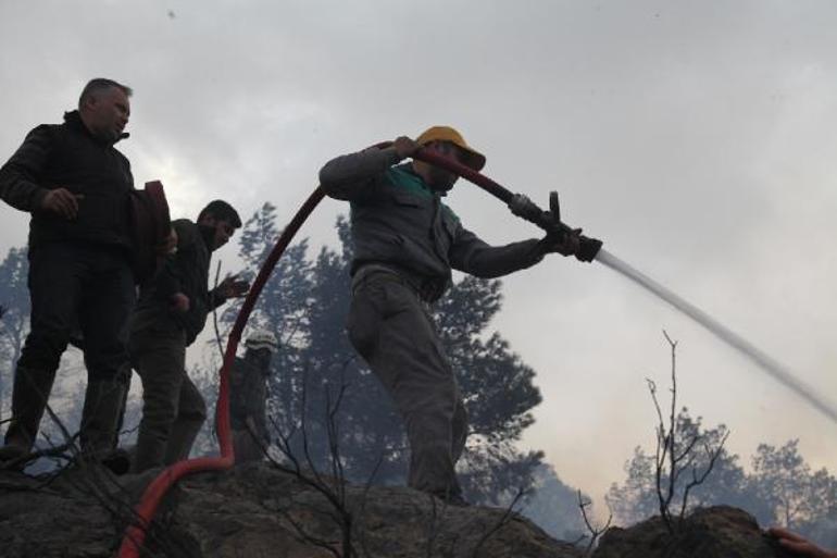 Bodrumda orman ve makilik yangını