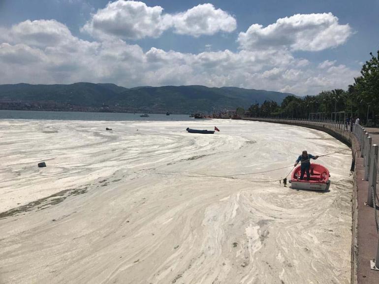 TBMM Araştırma Komisyonu: Müsilaj, yakıt ya da gübre olarak kullanılamaz