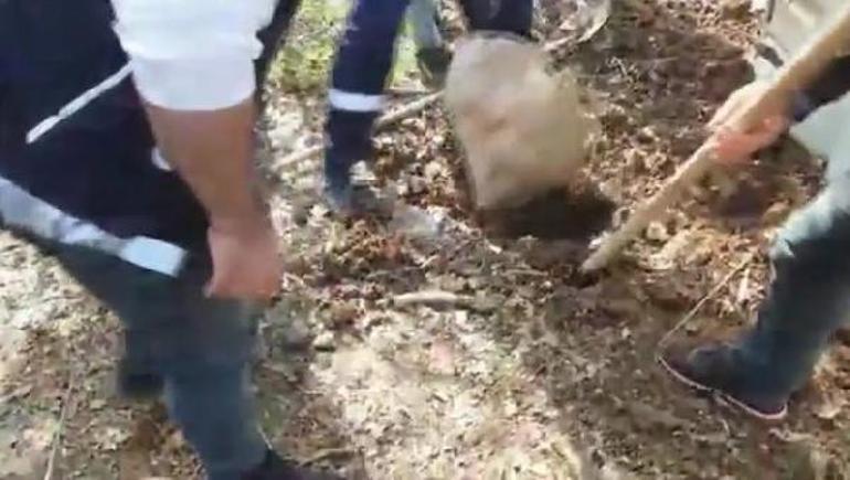 İstanbulda 6 ilçede narkotik operasyonları: 14 gözaltı