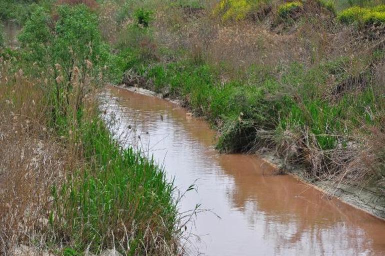 Nif Çayı kırmızı aktı; çiftçi tedirgin oldu