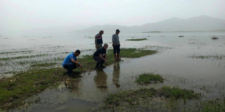 Tahtaköprü Barajı Gölünde balık ölümlerine inceleme