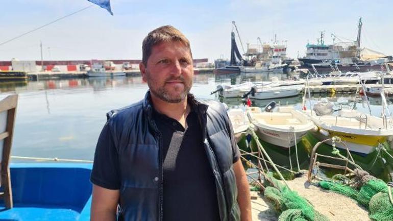 Tekirdağ kıyılarında plankton kirliliği