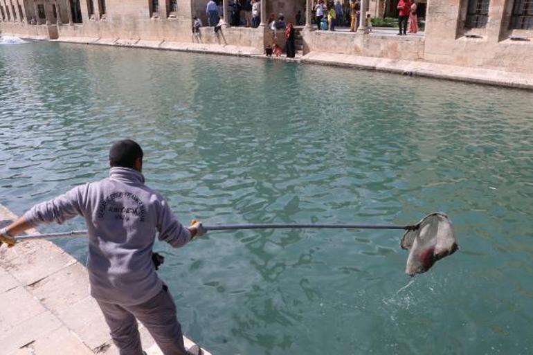 Balıklıgölde balık ölümleri; göle gıda maddesi atılması yasaklandı