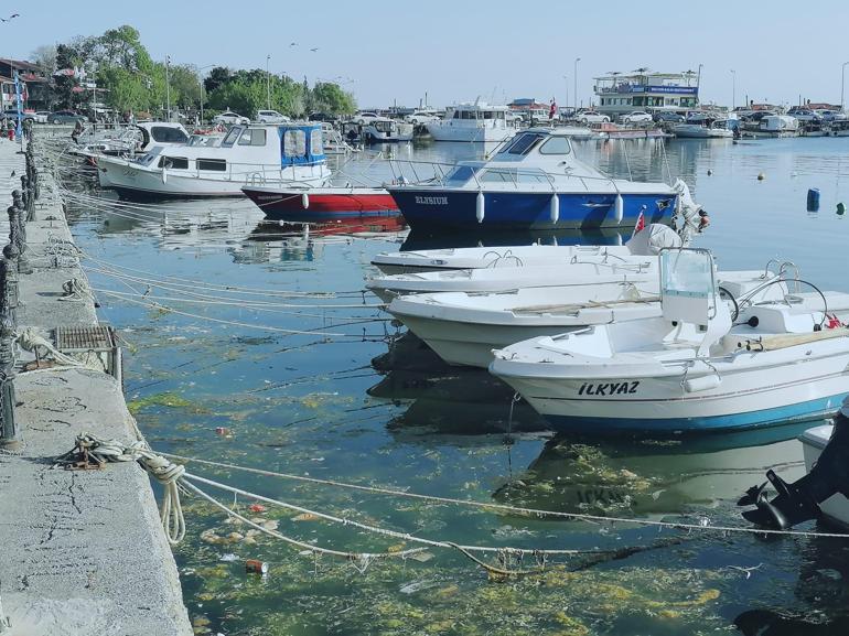Silivri Sahilinde deniz çöplüğe döndü