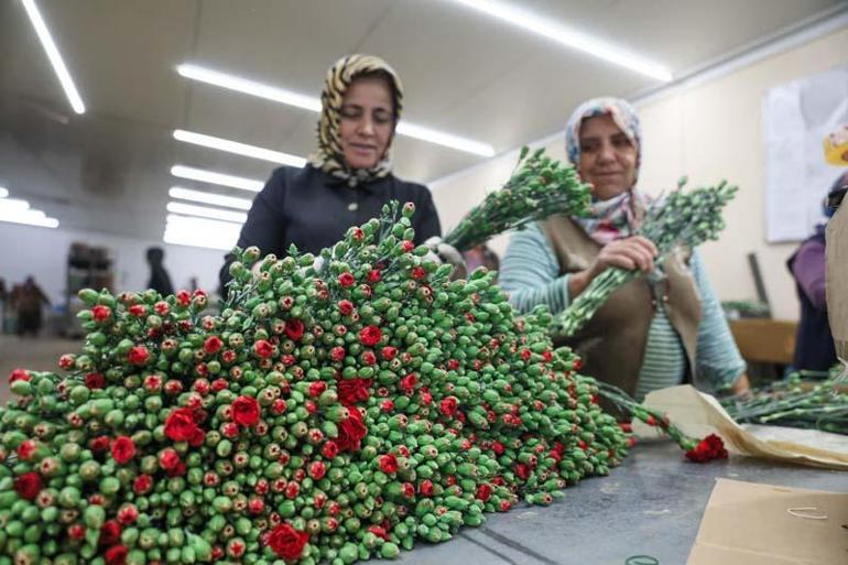 Anneler Günü için Rusya ve Ukrayna dahil 33 ülkeye 70 milyon dallık çiçek ihracatı