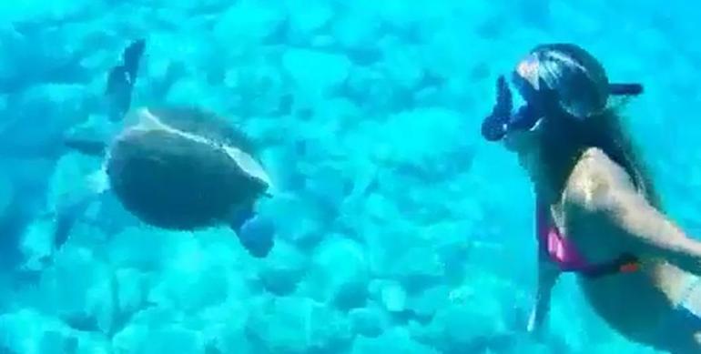 Anne ve kızı caretta caretta ile yüzdü, baba o anları görüntüledi